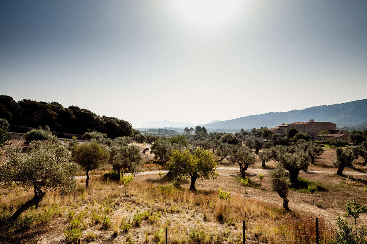 Can Axartell in Mallorca